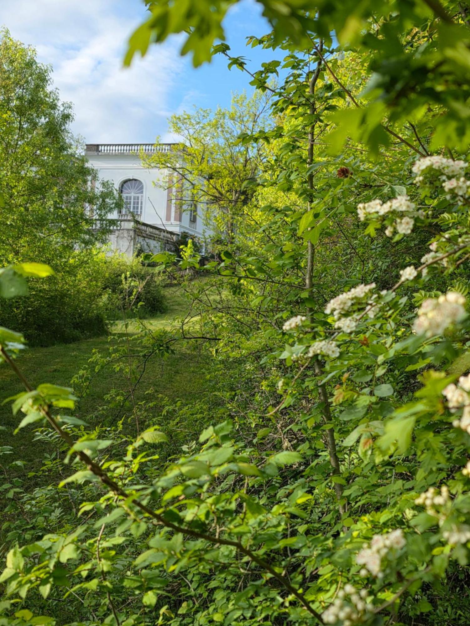 Chateau De Pourpry Damiatte المظهر الخارجي الصورة