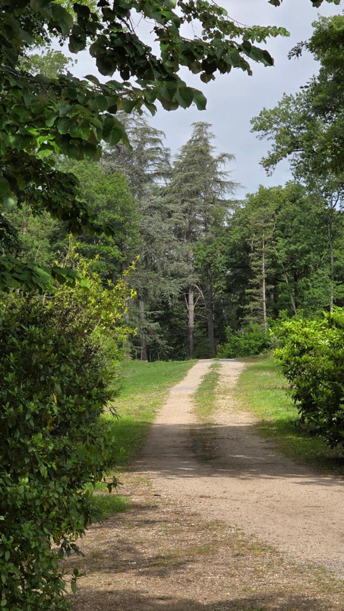 Chateau De Pourpry Damiatte المظهر الخارجي الصورة